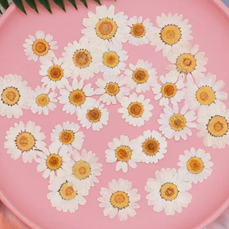 100Pcs Natural White Crystal C - Resin Craft Ideas 评论和价格