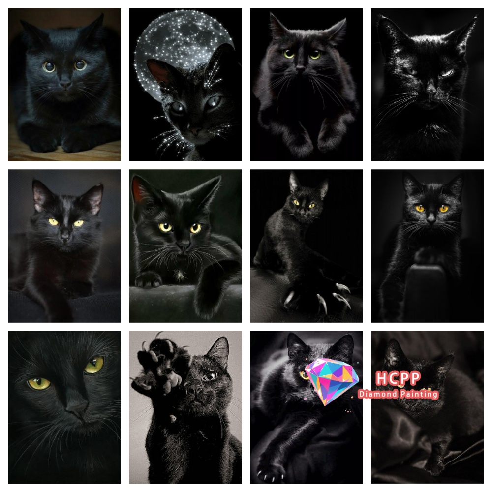 unframe Black Cat Animal Diamo - Resin Craft Kit 评论和价格