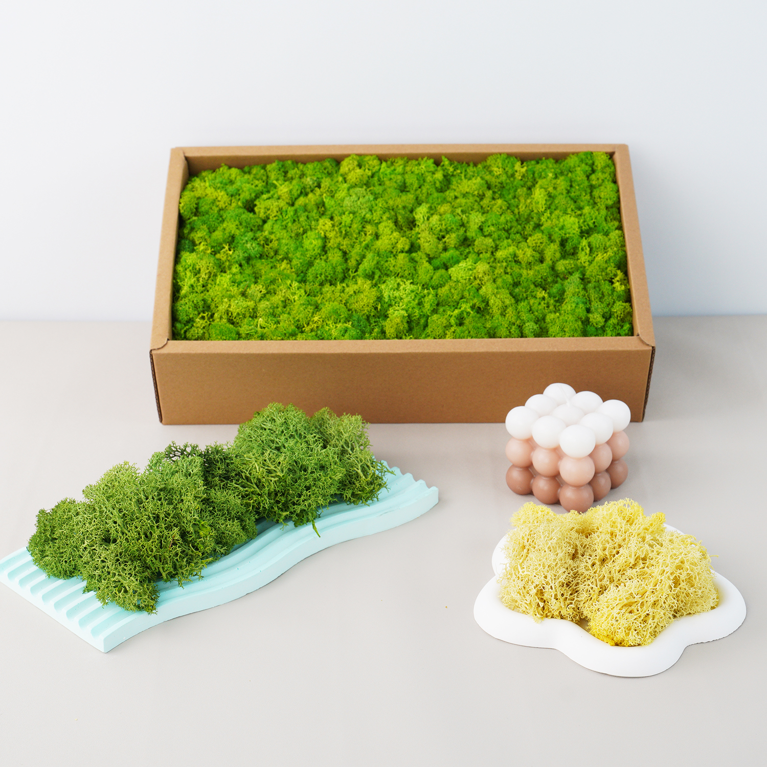 20g Artificial Green Plants Et - Terrarium Moss Art 评论和价格
