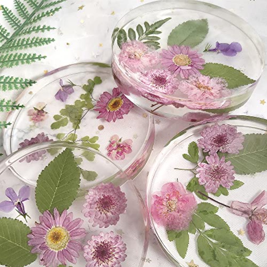 6-Cavity Deep Round Coaster Mo - Coaster Mold Round 评论和价格