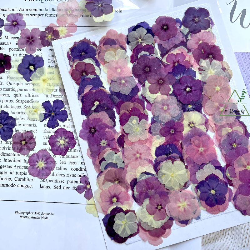 12pcs,Semi-Transparent Niche P - Resin Craft Ideas 评论和价格
