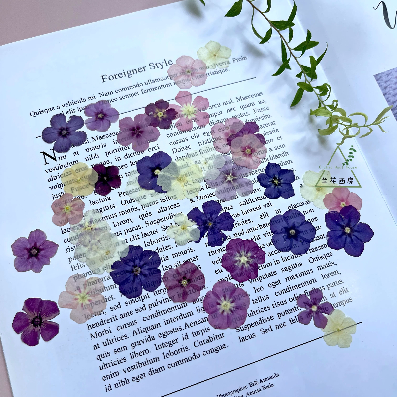 12pcs,Semi-Transparent Niche P - Resin Craft Ideas 评论和价格